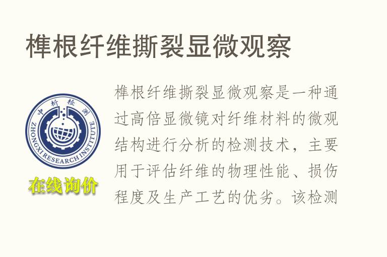 榫根纤维撕裂显微观察