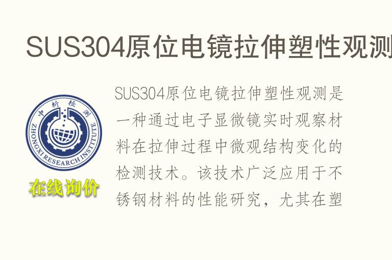 SUS304原位电镜拉伸塑性观测