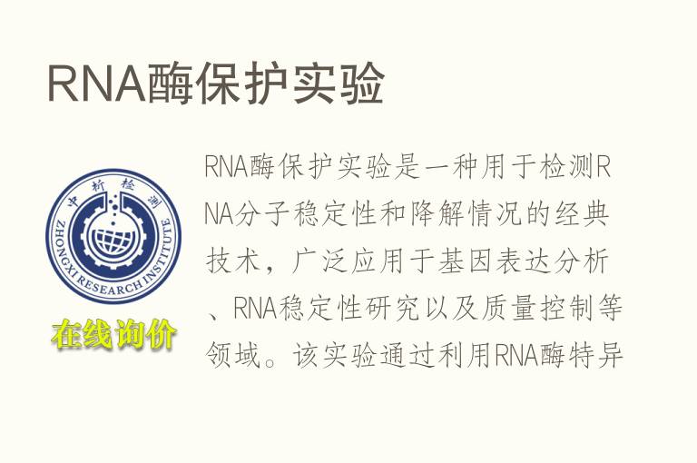 RNA酶保护实验