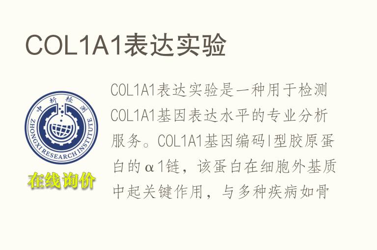 COL1A1表达实验